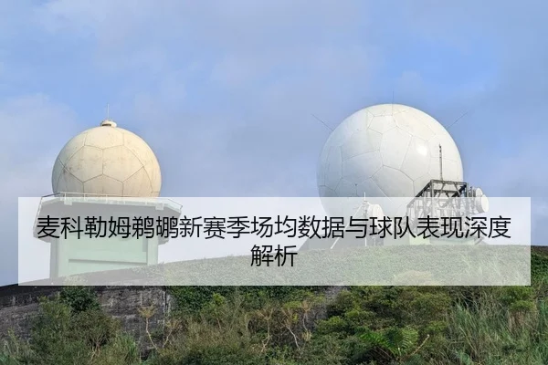 麦科勒姆鹈鹕新赛季场均数据与球队表现深度解析